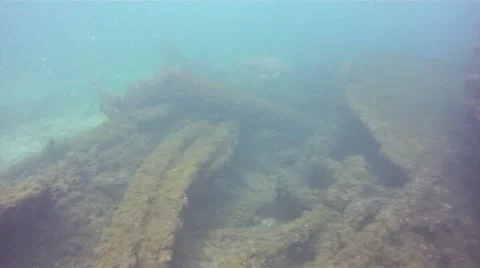 Big carp on a shipwreck 库存影片 41383560