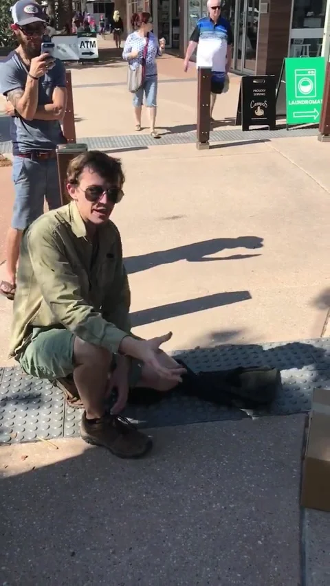 Big Carpet Python Outside Busy Shops, Coolum Beach, Queensland, Australia - 16 S 動画素材 205245496