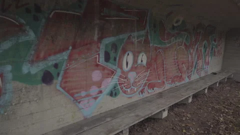 Big cat graffiti on concrete wall slow pan Stock Footage 153475739