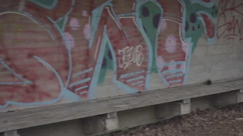 Big cat graffiti pan reveal Stock Footage 153475407