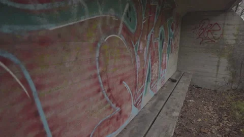 Big cat graffiti slow pan to eyes closeup Stock Footage 153476033