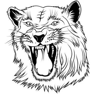 Big Cat Head Stock Illustration