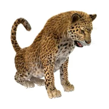 Big Cat Leopard Illustrazione stock