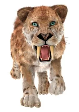Big cat smilodon Stock Illustration