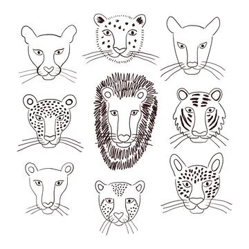 Big cats faces isolated collection, black white. Illustrazione stock