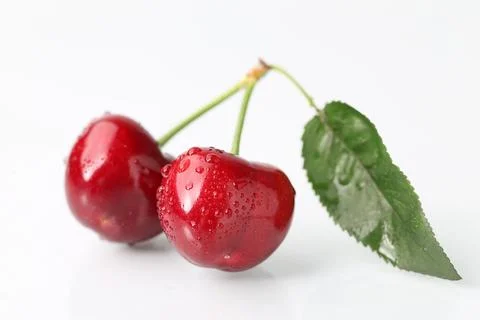 Big cherry on white background Stock Photos
