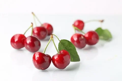 Big cherry on white background Stock Photos