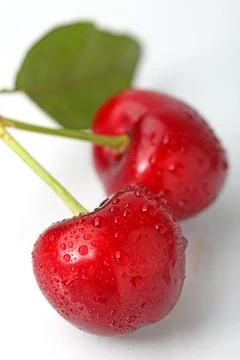 Big cherry on white background Stock Photos