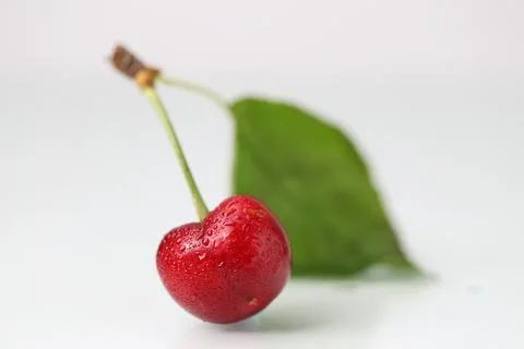 Big cherry on white background Stock Photos
