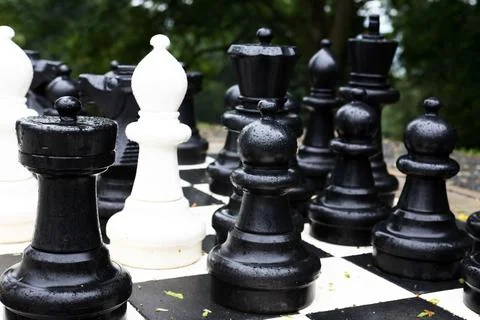 Big Chess Stock Photos