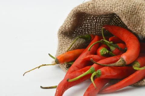 Big chili red Stock Photos