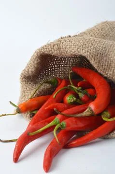 Big chili red Fotos Stock