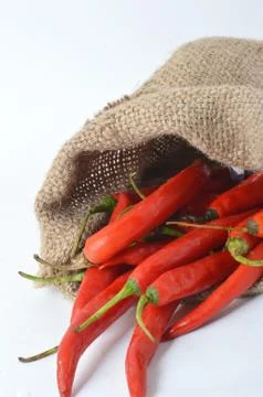 Big chili red 库存照片