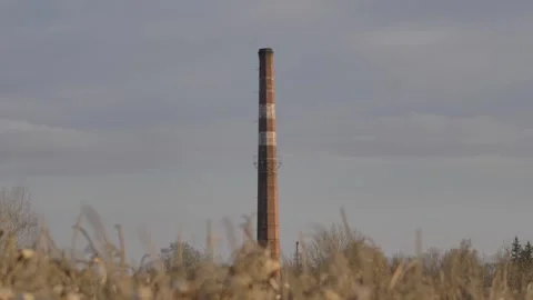 Big chimney from behind the cornfield 3 Stock Footage 244710195