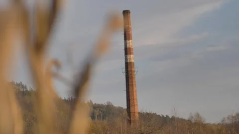 Big chimney from behind the cornfield Stock Footage 244710162