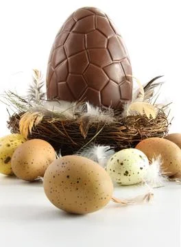 Big chocolate easter egg in nest with feathers Stock Photos