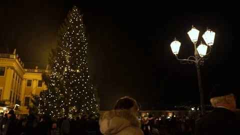 Big christmas tree and streelamp in front of a european palace in the middle of Stock Footage
