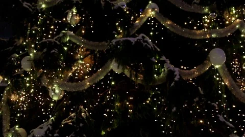 Big christmas tree Stock-Footage 71483530