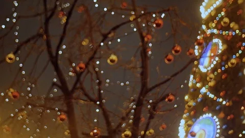 Big christmas tree Stock Footage 74044271