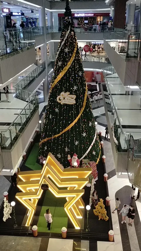 The big christmas tree Stock Footage 226957519