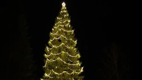 Big Christmas tree 스톡 동영상 327541542