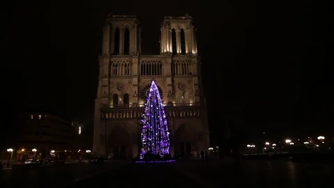 Big christmas tree in front of notre dame, paris Stock Footage 83237156