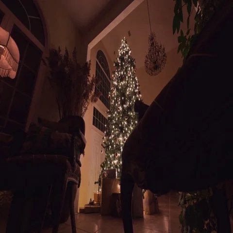 Big Christmas tree with glowing lights, ornaments, and presents. Stock Footage 69497961