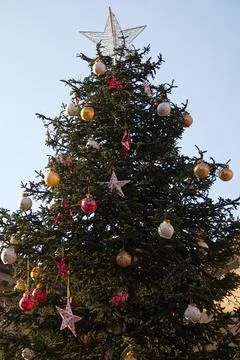 The big christmas tree in the main square of Bologna. Italy Stock Photos