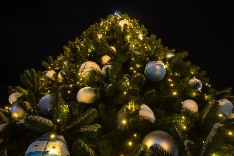 Big Christmas tree Stock Photos