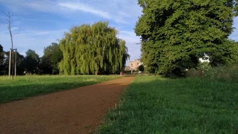 Big city park Stock Footage 113798852