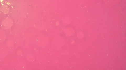 Big clear bubble slides along pale pink smaller ones moving them against pink Stock Footage 219965041