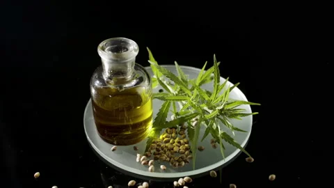 Big close-up of hemp sprig, seeds and oil bottle on watch glass Stock Footage 230908387