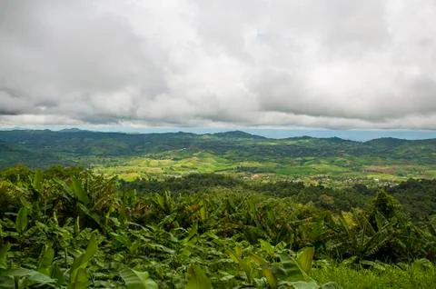 Big cloud hovering over green forest area. 스톡 사진