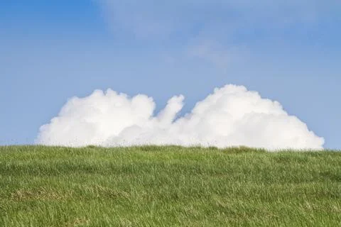 Big cloud over green grass Foto stock