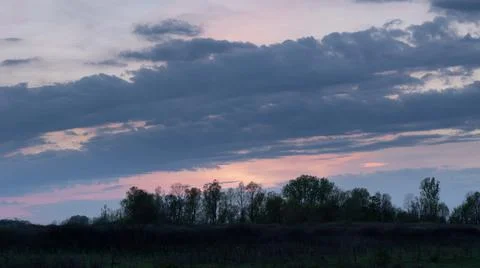 Big clouds above forest at twilight Stock Photos
