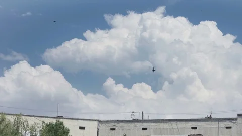 Big clouds fly over high-rise buildings. Swallows fly around. Stock Footage 110795749