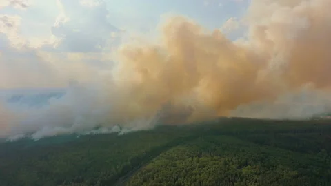 Big clouds of smoke over the burning forest, aerial view from drone Stock Footage 164987729