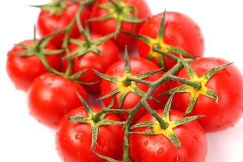 Big cluster of tomatoes Stock Photos