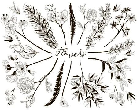Big Collection of Floral Design Elements Stock Illustration