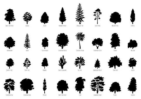 The big collection of trees silhouettes isolated Stock Illustration