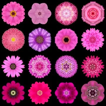 Big Collection of Various Purple Pattern Flowers Isolated on Black Stock Photos