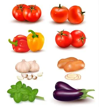 The big colorful group of vegetables. vector. Stock Illustration