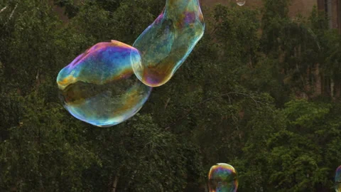 Big colorful soap bubbles floating in the air against background of green trees. Stock Footage 208145919