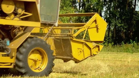 The big combine reaps wheat crop in Russia. The combine cuts off wheat ears Stock Footage