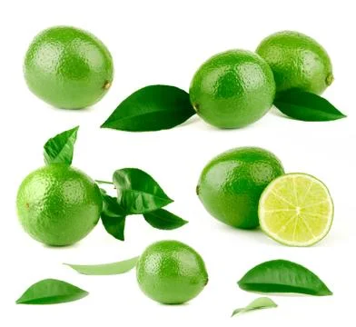 Big compilation of lime with green leaf Stock Photos
