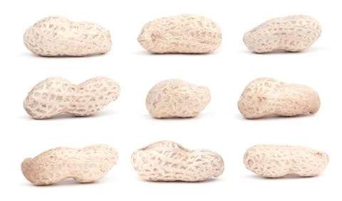 Big compilation of  peanut on white background Stock Photos