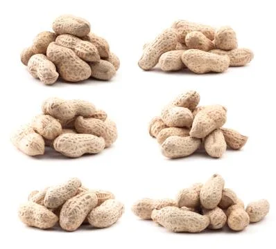 Big compilation of peanut on white background Stock Photos