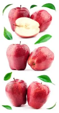 Big compilation of red apples with leaf and drops Stock Photos