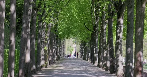 Big Complex of Castle With Garden, Water Fountains and Flowers in Germany Stock Footage 183930152