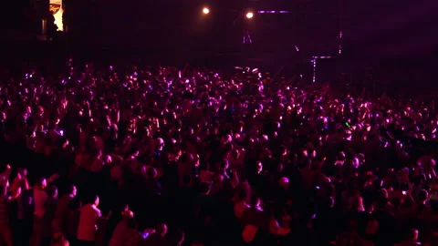 Big Concert Crowd Stock Footage 139399086